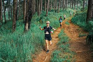 BIB: 
                            <button type="button" onclick="openModal(25667803)" class="btn btn-primary btn-sm float-right btn-popup" data-toggle="modal" data-target=".modal-high-quality">
                        <i class="fas fa-shopping-cart"></i> Add to Cart
                    </button>
                                            <button type="button" onclick="isThisMe(25667803, true)" class="btn btn-success btn-sm float-right btn-popup btn-isme hidden" data-toggle="tooltip" data-placement="bottom" title="นี่คือรูปของคุณใช่ไหม คลิกที่นี่เพื่อเอาเข้าอัลบั้ม">
                        <i class="fas fa-plus"></i> Add to album
                    </button>
                    <button type="button" onclick="isThisMe(25667803, false)" class="btn btn-warning btn-sm float-right btn-popup btn-isnotme hidden">
                        <i class="fas fa-ban"></i> Remove from album
                    </button>